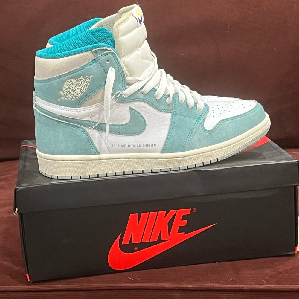 Nike Air Jordan 1 High OG in Teal and White